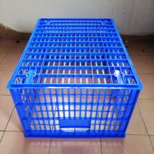 �S�����l��̖10̖ �L�������Ϲ��I���b���{ɫ���Ͽ����D�j