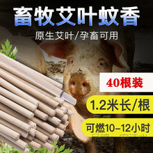 ���Ⱜ�������������ó�����i������r�������㰬�ݲ�������