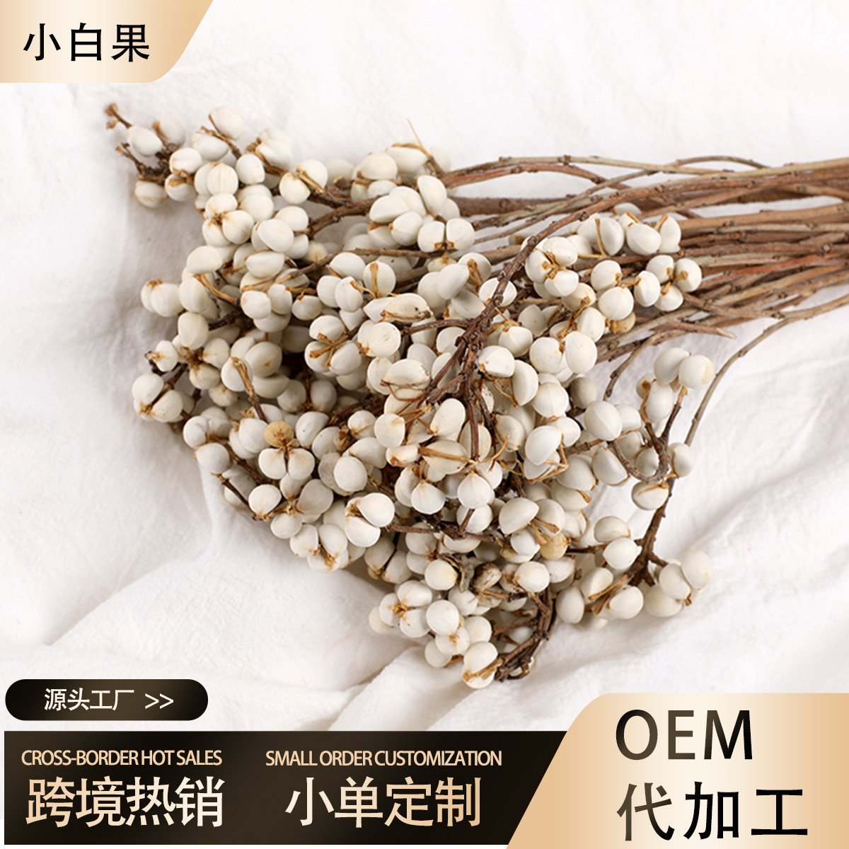 【小白果】干花花束冬菇木子干果批发diy装饰花材玻璃罩配材节日