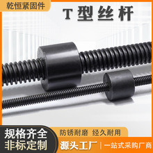 �S�ҹ���T�ͽz�U�����ߏ���T���ݗUȫ�����Ϳ۽z�������������z�U