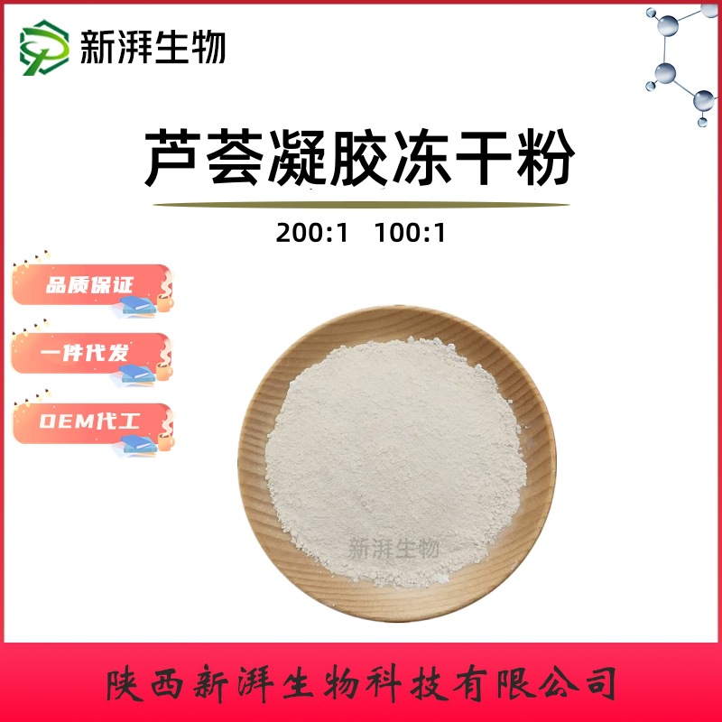 芦荟凝胶冻干粉200:1 库拉索芦荟冻干粉 化妆品原料 新湃现货批发