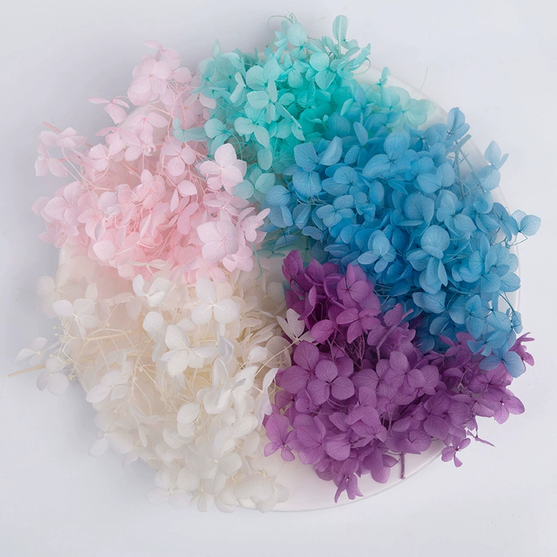 Вечный цветок Сухоцветная коробка Анна Гранди Hydrangea посыпанные лепестки цветов для лица свадьбы оформление Цветочный стиль