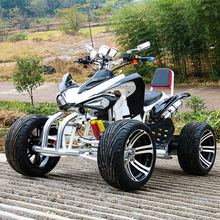 150cc/200cc/250cc ȫԽҰɽسɳسĦгɳ̲ATV