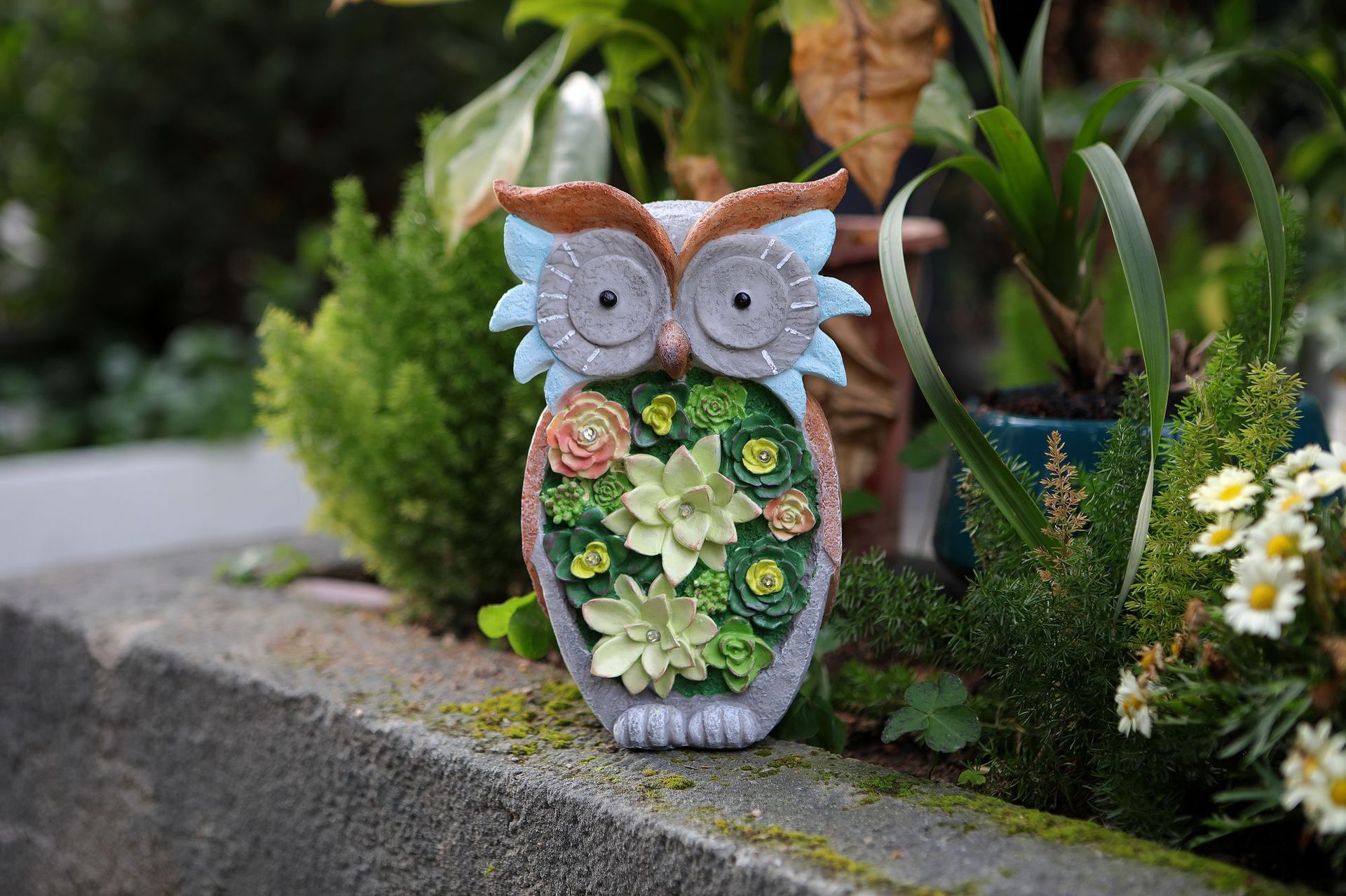 猫头鹰详情图 (10).jpg