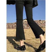 ��ɫ΢��ţ�п�Ůë��2026�����¿����ݵ���С���Ӱٴ�������ȿ�