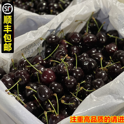 智利进口车厘子水果新鲜大樱桃应季黑珍珠樱桃现货批发一件代发|ru