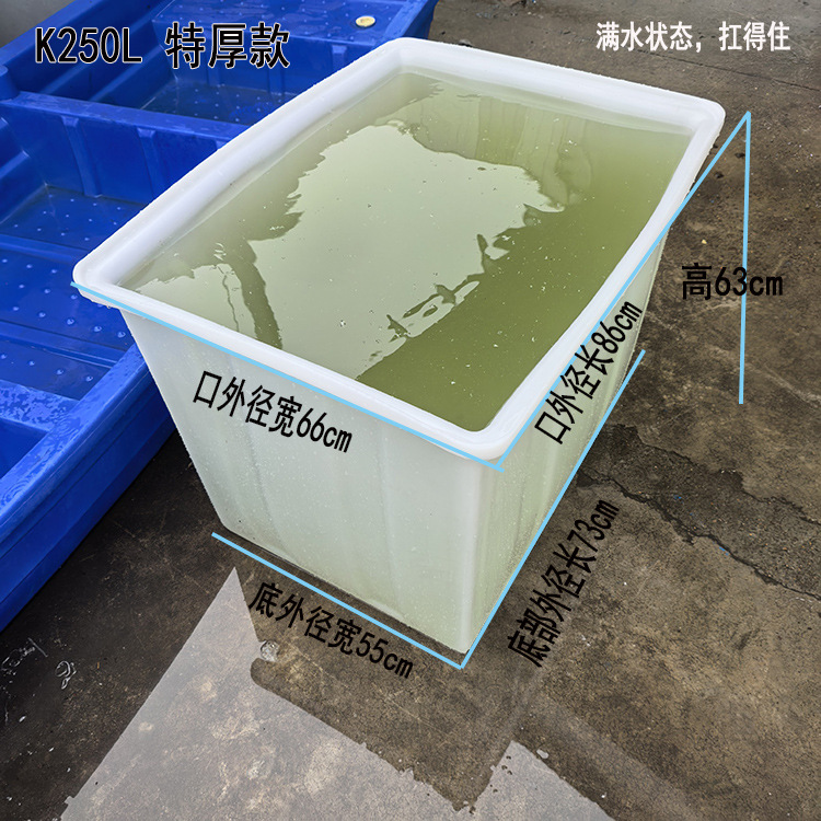 K250L 특대형  순백색