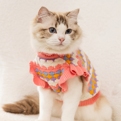 Autumn and winter lady three-dimensional flower color striped cat sweater dog princess two-legged sweater pet warm clothes