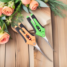 ���Ѽ������P䓈@ˇ�����̽�ժ����֦���ш@�ֹ���ժ����