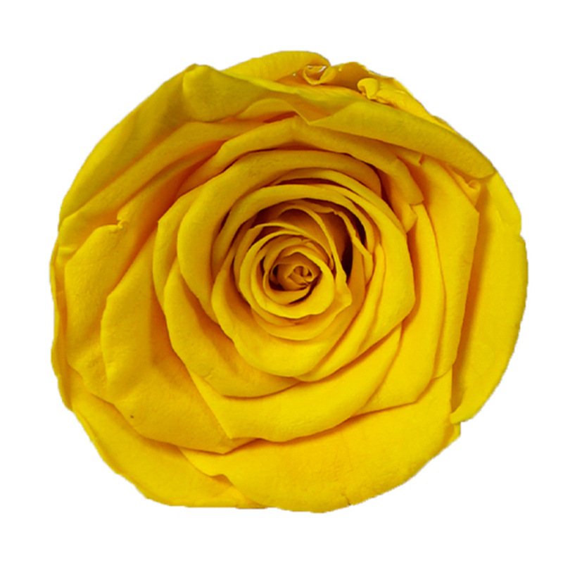 Cabezas de Rosa Eternas de Yunnan, Grado A, 5-6 cm, Hechas a Mano, Ramo de Alta Gama, Regalo, Flores Secas, Materiales para Manualidades, Venta al por Mayor