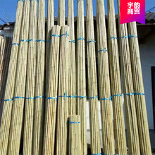 ��������b����Ͳ����b���ë��234�����ɗU���S�S�Ҫ����A��