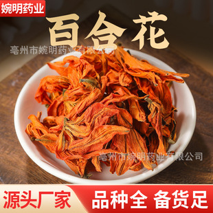 �ٺϻ� ҹ�ϻ�  �ٺϻ� �ٺϻ��� �ٺϻ��S�� �ٺϻ����l