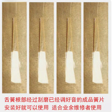 ���J�z�͞������Ƭ�{�{���{�{�{�{���� �S��ֱ�N��ƷëƬ