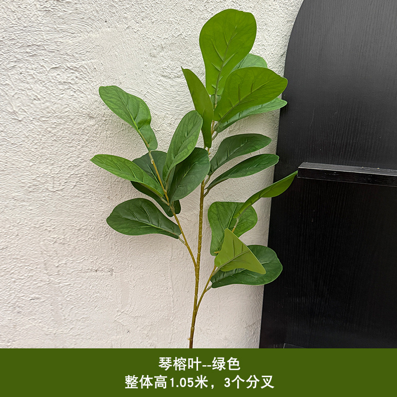 피나무 잎 - 녹색