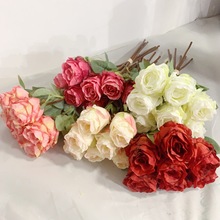 7^߅õ滨͹ŽɭϵM[Żܸɻ