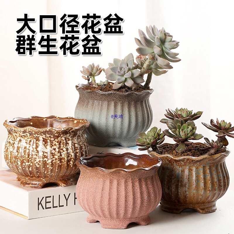 Large Diameter Platter Succulent Flower Pot Creative Simple Ceramic Stoneware Breathable Butterfly Orchid Flower Pot