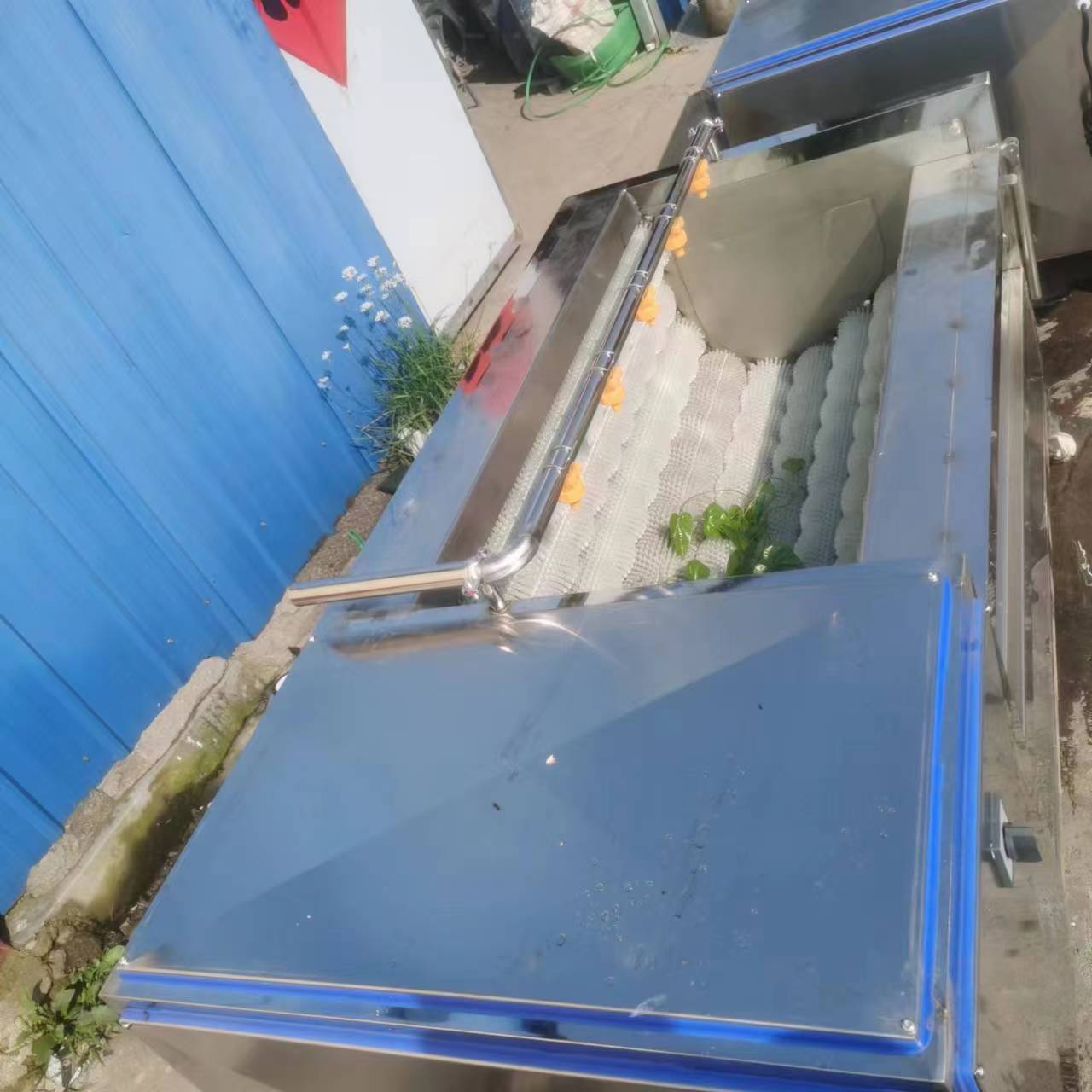 胡萝卜清洗机 贝壳类毛辊清洗机 牡蛎扇贝清洗机 海蛎子清洗机