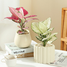 ������Gֲ�������҃�ˮ�༪���t�ʺ��ļ��ͺ����BС�辰���ܔ[��