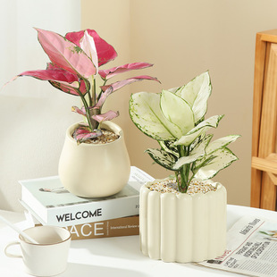 ������Gֲ�������҃�ˮ�༪���t�ʺ��ļ��ͺ����BС�辰���ܔ[��