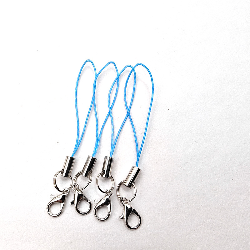 06 [Blue] 12 Lobster Clip Hanging Rope
