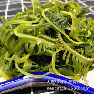 �}�n��ѿ�˽�ë��üѿ�˺���ѿС��������ɫʳ�ďS�����lֱ��