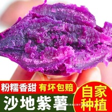 ����ɳ���������l���r���_�m������Ŵ������ʹּZ�߲��Ϸ����ع�