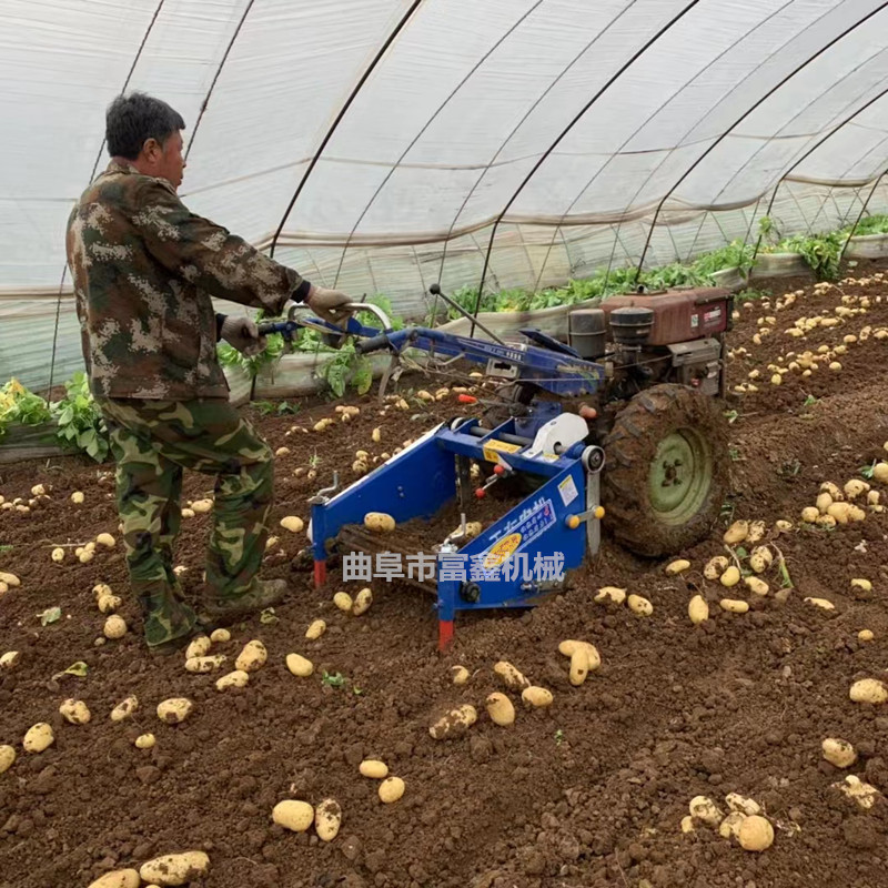 家用薯类收获机 硬地大蒜红薯收获机 四轮手扶车芋头收获机图片