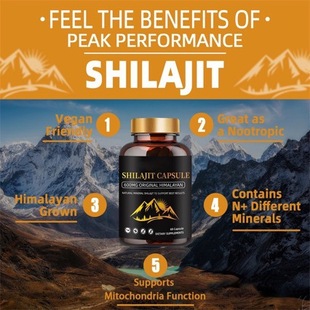 ���R�d���u �F؛60��ϲ��֥�z��GMP���S�羳����shilajit Capsule