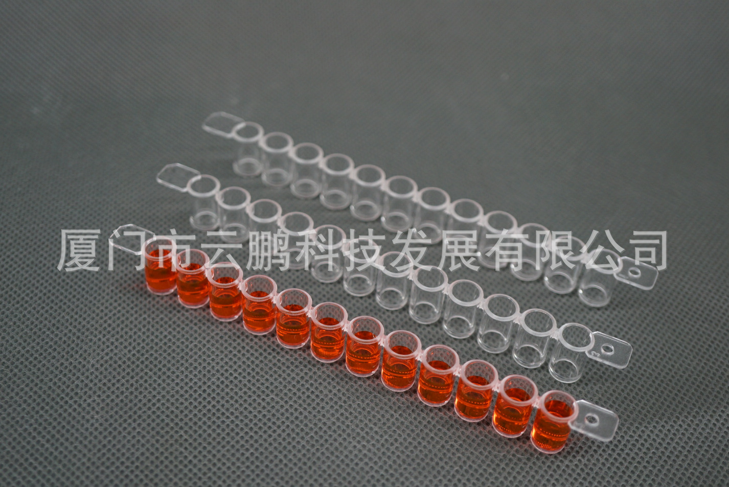 96酶标板  12T孔条