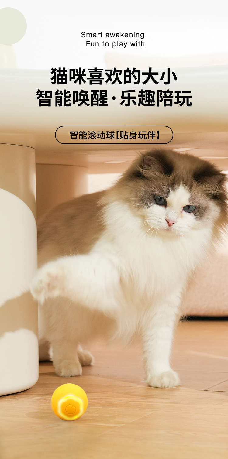 智能滚动球-_01.jpg
