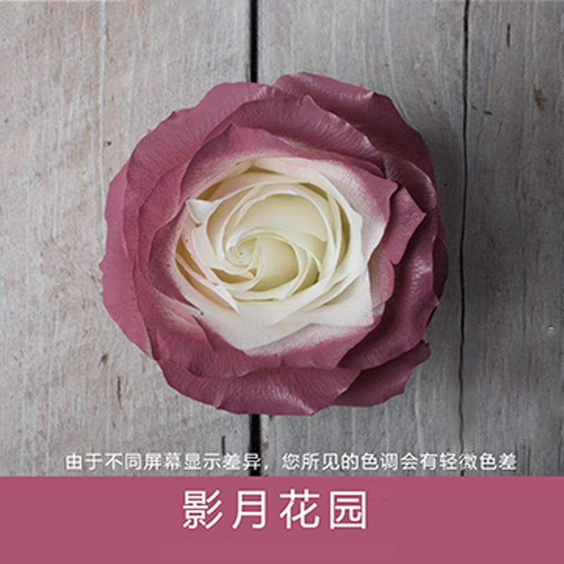 450ml agente de color de aerosol de flores al por mayor pintura en aerosol de secado rápido agente de teñido de rosas de color aerosol de color perlado floristería