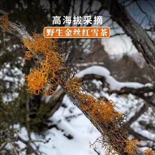 �����خa��z�tѩ���z�� ��Ʒ ¹�Ĳ�tѪ��ɢ�b ��ˢ��