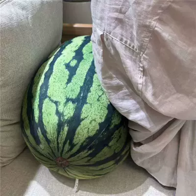 Oyuncaq yastıqlar: pillow plush toy summer