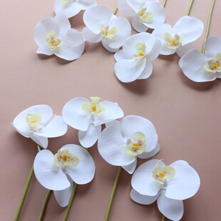 ����12�^�m���ָ��^�z�����m�ٻ��Ҿӻ�c�b[��diy�廨ˇ����