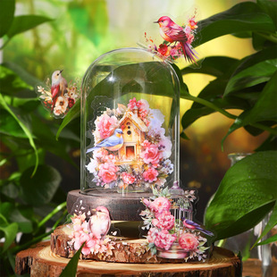 ���õ�һ��PET�N�� �B�Z����ϵ�� �B�\�쾰���~DIY�b��N30�� 6��