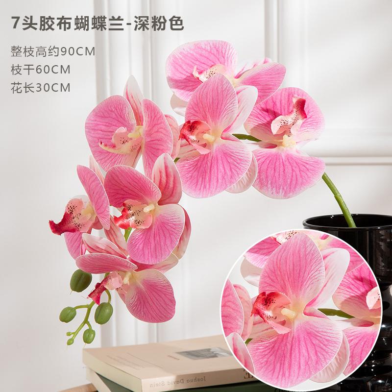 7 헤드 테이프 phalaenopsis-깊은 분말 [3D 인쇄 빨]]