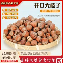 新货开口大榛子原味手剥坚果炒货500g批发代发休闲零食年货必备