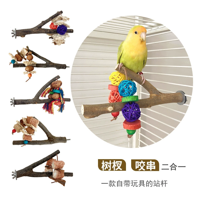 Трансграничная подставка для попугая Род Игрушка для птиц принадлежности для попугая ветка птичьи окуни Дерево ротанг мяч орех Каракатица комбинация костной коры