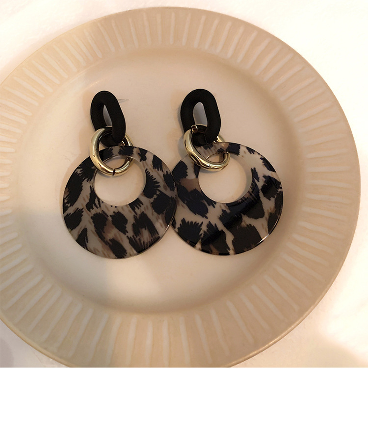 1 Pair Retro Leopard Alloy Women's Drop Earrings display picture 4