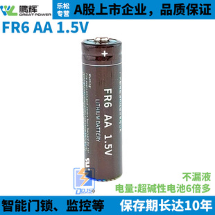 ��FFR6늳�AA5̖1.5V�i�xLFBAA 3000mAh FR03 AAA7̖1.5V LFBAAA