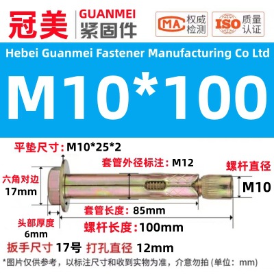 Анкерный болт Guanmei стандарт GB 10х100