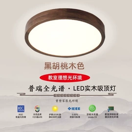 吸顶灯;装饰台灯;吊灯