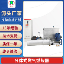流化床床下点火装置 燃油烧嘴燃烧稳定 燃油燃烧器自动点火