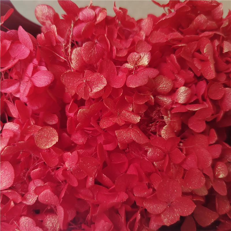 Flor eterna Hortensia Anna pequeña hoja flor seca flor real árbol de Navidad ventilador hecho a mano ramo DIY material paquete flor