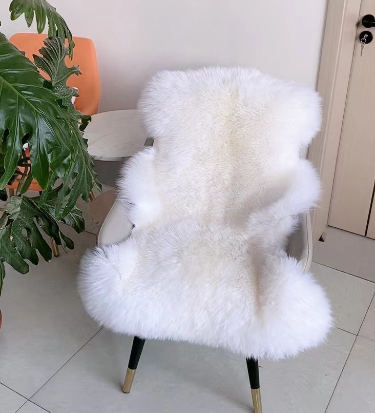 微信图片_20240910092323