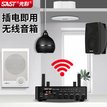 先科V1壁挂音响蓝牙音箱无线家用商用店铺吸顶式音箱吊球喇叭音柱