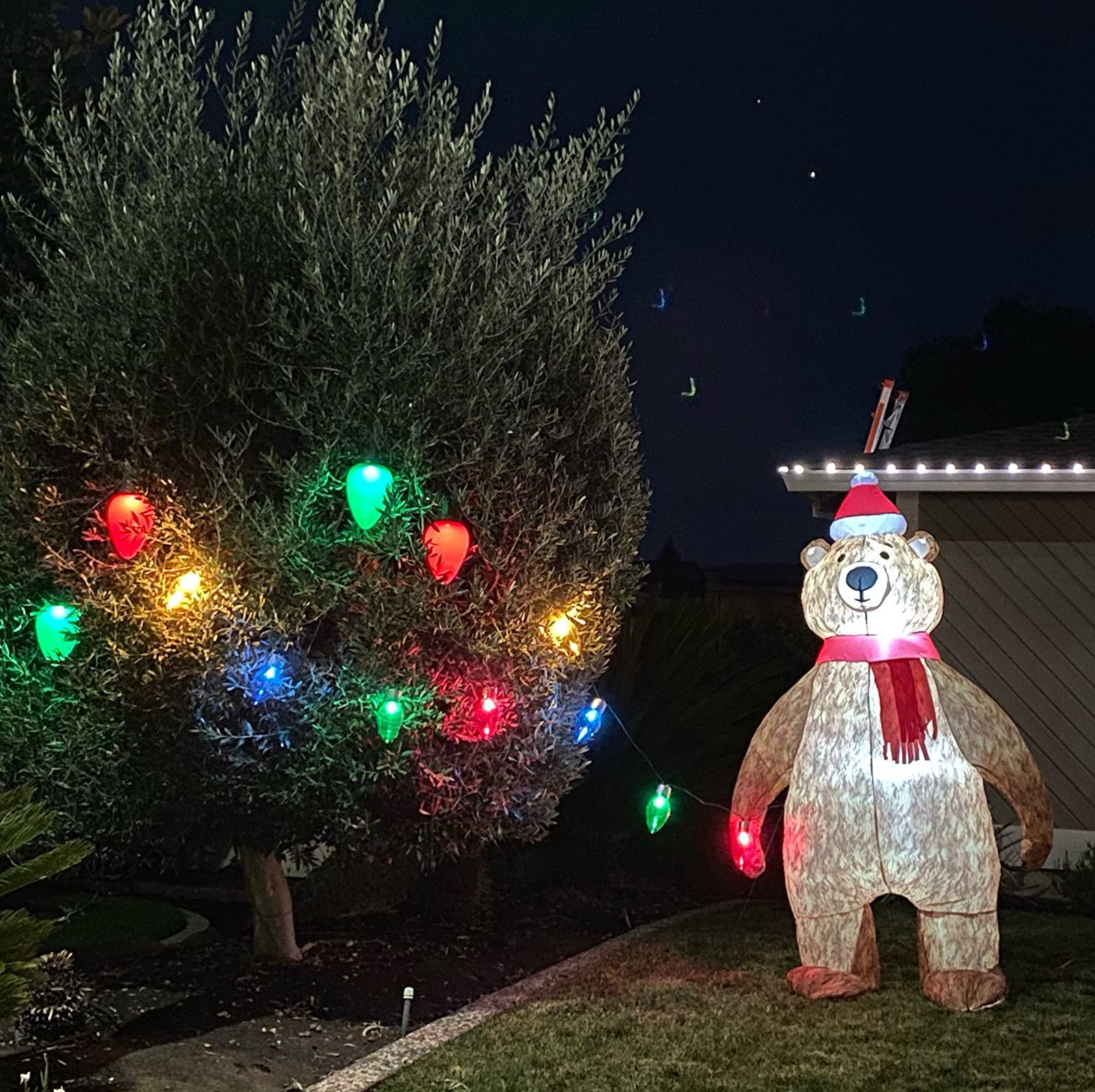 A1RobFW-JxL._SL1600_