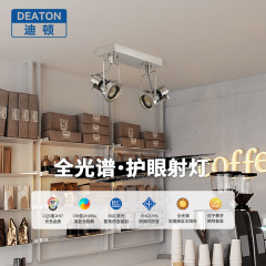 中古工業風通路廊下の小さい丘のスポットライトはまぶしさを防ぎます。