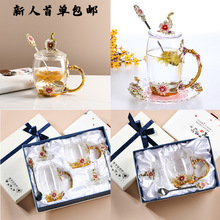 邹菊珐琅彩玻璃杯耐高温家用女牛奶果汁水杯创意套装礼盒家用茶杯