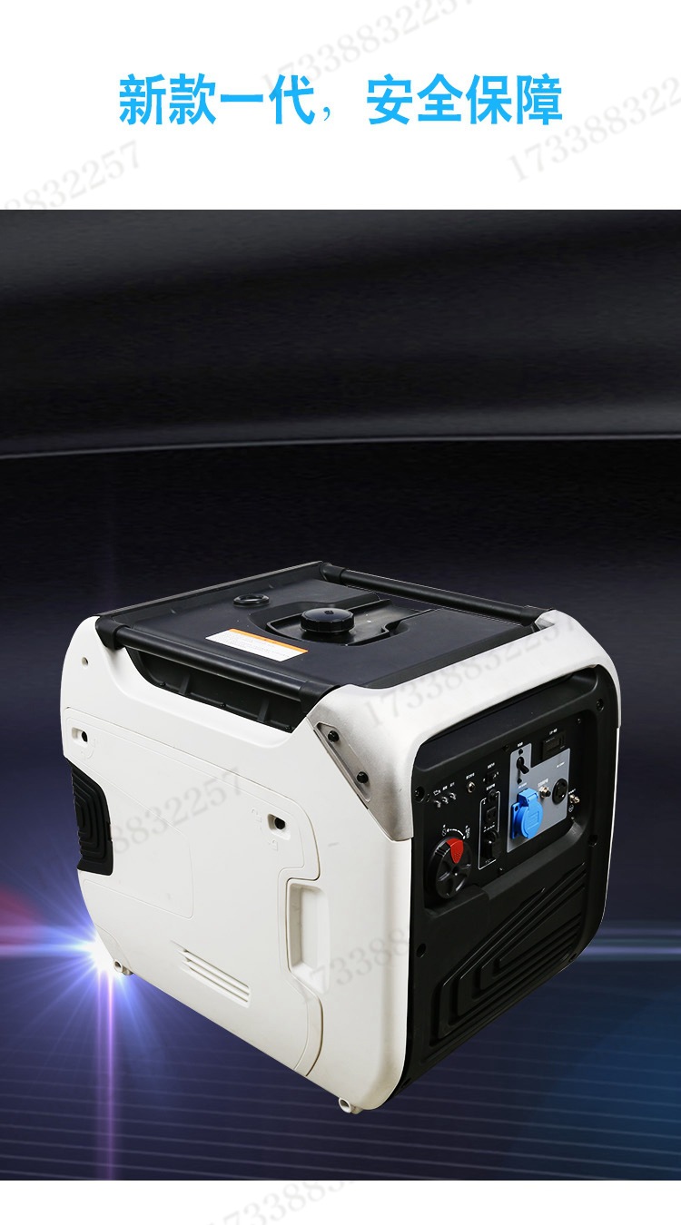 福建瑞天恒汽油发电机组05